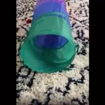 Collapsible Cat Tunnel with Ball & Peek Holes – 3-Way S-Shaped Foldable & Connectable Rainbow Tube Toy for Indoor Cats & Kittens, Customizable Play Layout