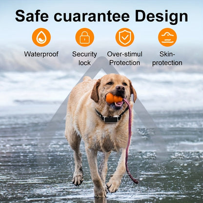 Dog Training Collar with Remote – Rechargeable E-Collar with Shock Vibration Buzz Modes, 2.4G Wireless Remote, USB Charging, Safe & Effective Pet Trainer for Small Medium Large Dogs, 1pc & 2pc