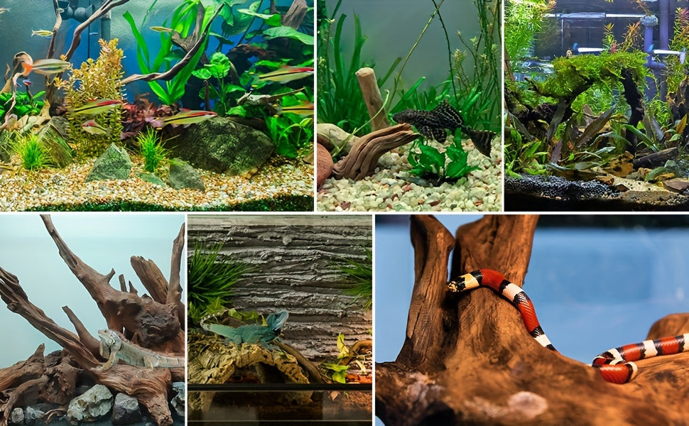 Natural Sinking Driftwood for Aquarium Decor – 3pcs Large Real Wood Fish Tank Decoration for Freshwater, Reptile & Terrarium, Fish-Safe Purple Teak Driftwood Set