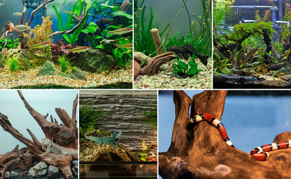 Natural Sinking Driftwood for Aquarium Decor – 3pcs Large Real Wood Fish Tank Decoration for Freshwater, Reptile & Terrarium, Fish-Safe Purple Teak Driftwood Set