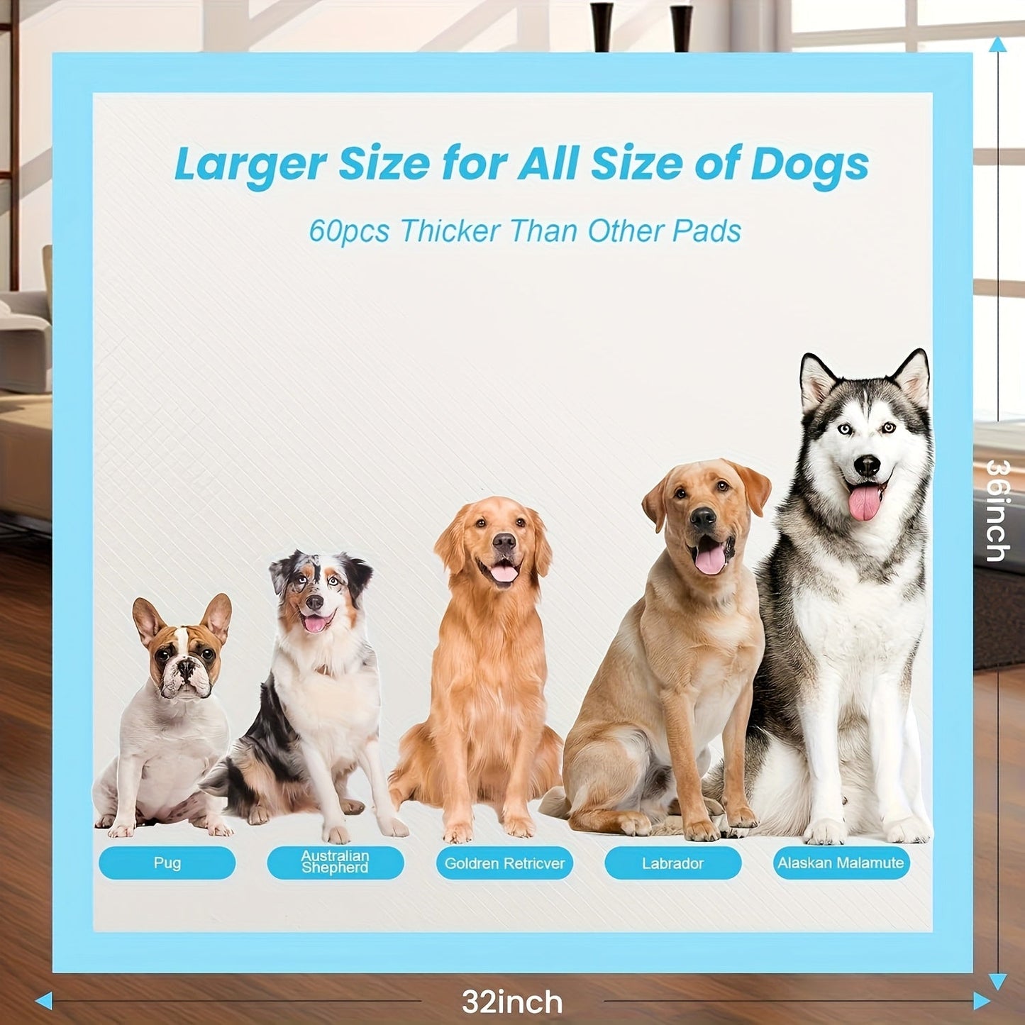 Dog Pee Pads XXXXL Extra Large 8-Layer Super Absorbent Leakproof Disposable Puppy Training Pads – 40/60/80/120 Count – For Dogs, Cats, Rabbits & Post-Surgery Use – Velora