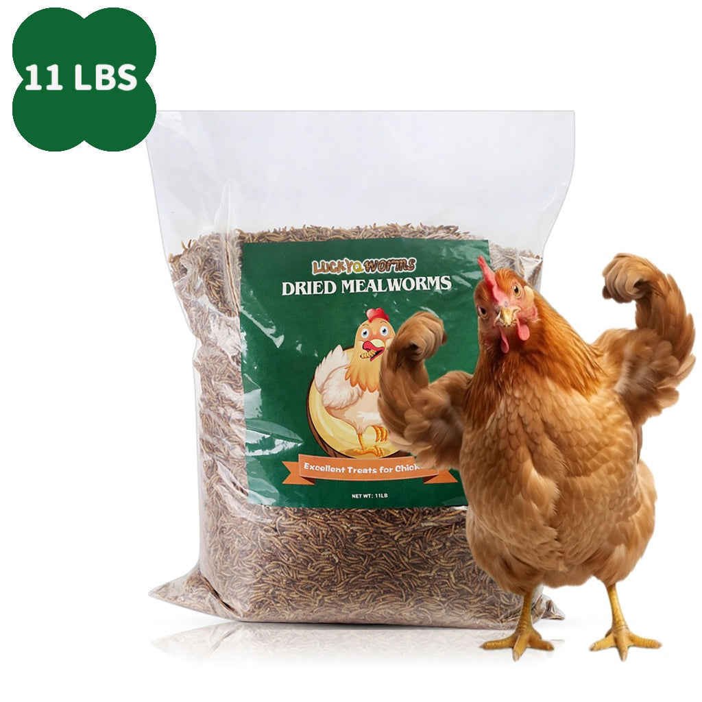 Dried Mealworms for Chickens Wild Birds Ducks – High Protein Natural Pet Food for Hens, Turtles, Fish, Lizards & Hamsters, Non-GMO Dried Insect Animal Feed, Multiple Sizes 0.6–40 LBS