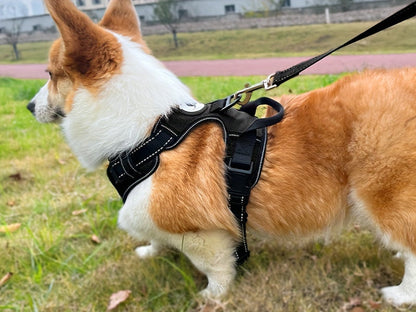 No Pull Dog Harness and Leash Set – Adjustable Reflective Oxford Vest Harness with 5-Foot Padded Handle Rope for Medium to Large Dogs, Quick-Release Buckles, Sizes S-XL, 5 Colors