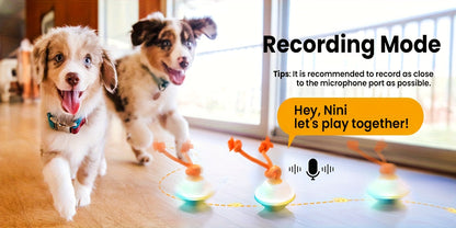 Automatic Moving Rolling Dog Ball Toy with Rope Motion Activated Voice Recording USB Rechargeable Interactive Stimulation Toy for Small Medium Dogs Boredom Relief Gray White
