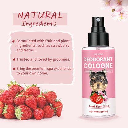 Pet Cologne Deodorant Spray 4.2oz Floral Scent - Dog Grooming Perfume with Vanilla Raspberry Neroli White Peony Patchouli Ambergris, All Breed Sizes, Long-Lasting Fresh Scent for Dogs
