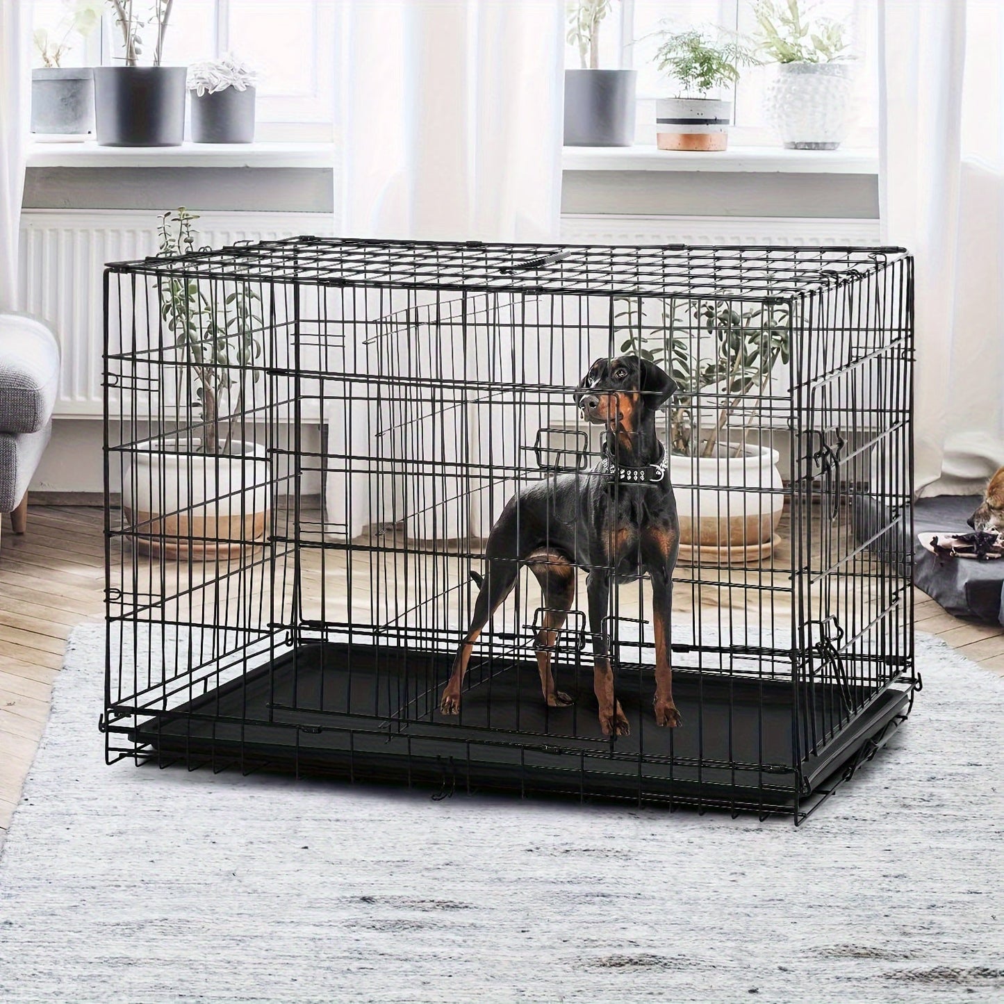 Double Door Folding Metal Dog Crate 42 48 Inch with Divider Leak-Proof Tray High-Temp Paint Finish Wire Kennel Puppy Medium Large Dogs Indoor Outdoor Black Blue Pink