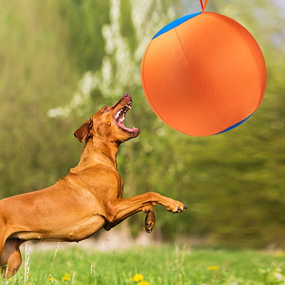 Chew-Resistant Dog Ball Toy for Fetch & Training – Durable Polo Balls for Golden Retrievers, Bulldogs, Shiba Inu, Corgi & Australian Shepherd, Self-Play & Obedience Exercise