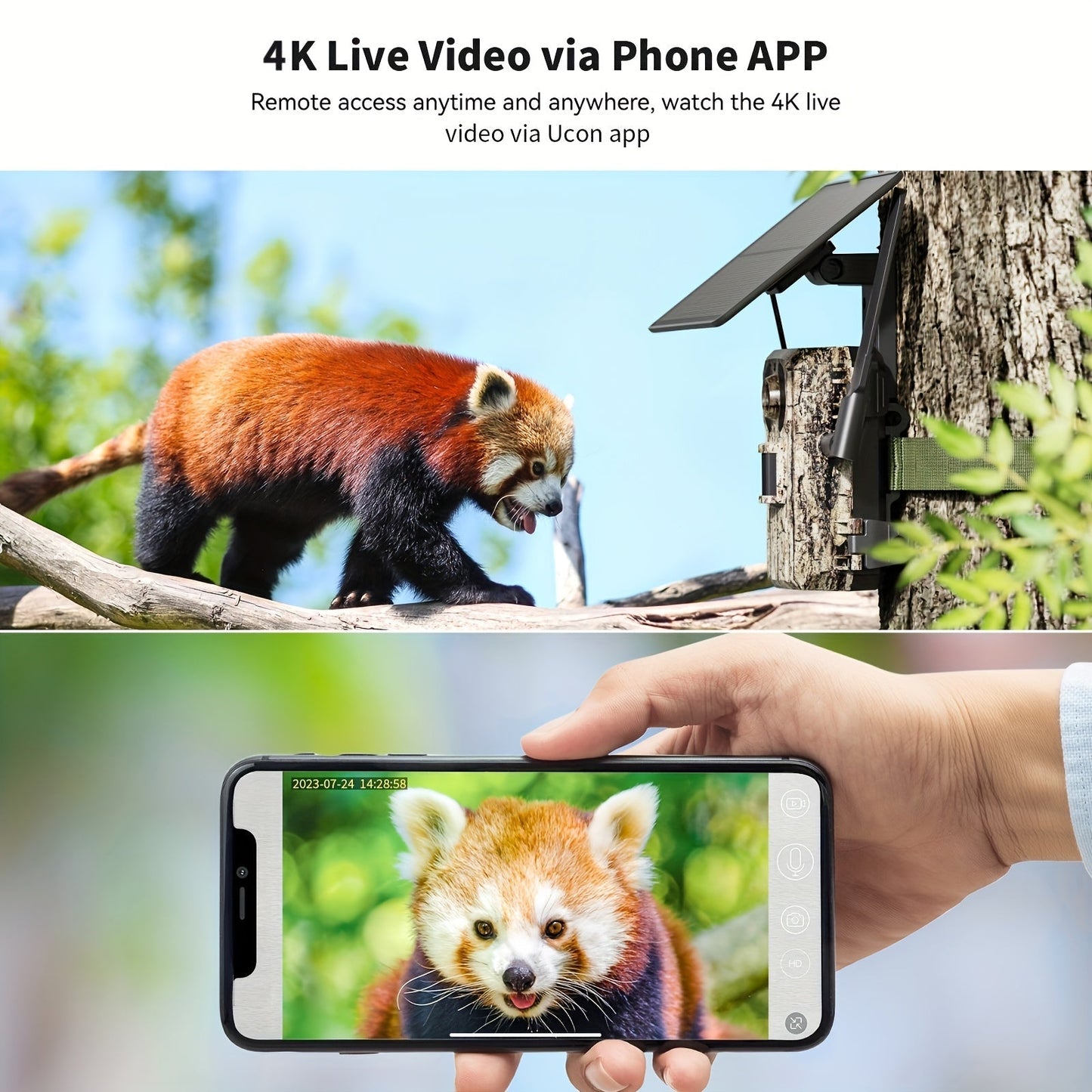 4G LTE Solar Trail Camera 4K Live View Night Vision 0.2s Trigger Remote Phone Access Motion Detection Wide Angle Wireless Game Camera for Deer Hunting Wildlife