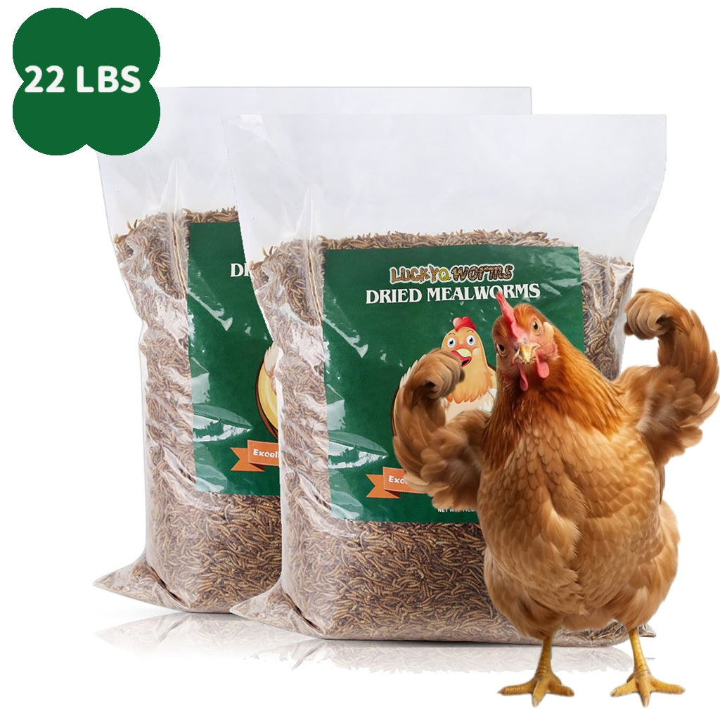 Dried Mealworms for Chickens Wild Birds Ducks – High Protein Natural Pet Food for Hens, Turtles, Fish, Lizards & Hamsters, Non-GMO Dried Insect Animal Feed, Multiple Sizes 0.6–40 LBS
