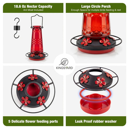 Glass Hummingbird Feeder for Outdoors Hanging – 24 Oz Nectar Feeder with 6 Feeding Ports, Ant Moat & Leak-Proof Design, 1 or 2 Pack, Red, Blue & Purple, Garden Patio Gift for Bird Lovers