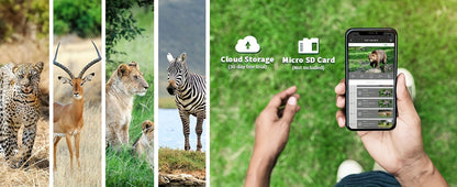 4G LTE Solar Trail Camera 4K Live View Night Vision 0.2s Trigger Remote Phone Access Motion Detection Wide Angle Wireless Game Camera for Deer Hunting Wildlife