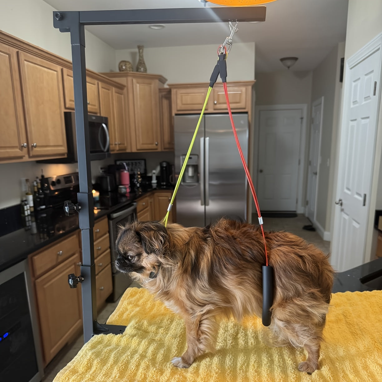 Dog Grooming Arm with Clamp 36 Inch – Adjustable Heavy-Duty Iron No-Sit Haunch Holder, 3-Section Design for Small & Medium Dogs and Cats, Includes Colorful Positioning Ropes, Professional Pet Grooming
