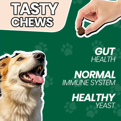 Dog Digestive Health Probiotic Soft Chews 90 Count Chicken Flavor - Supports Gut Health All Breeds Sizes Daily Supplement 1 Bottle or 3 Bottle Pack