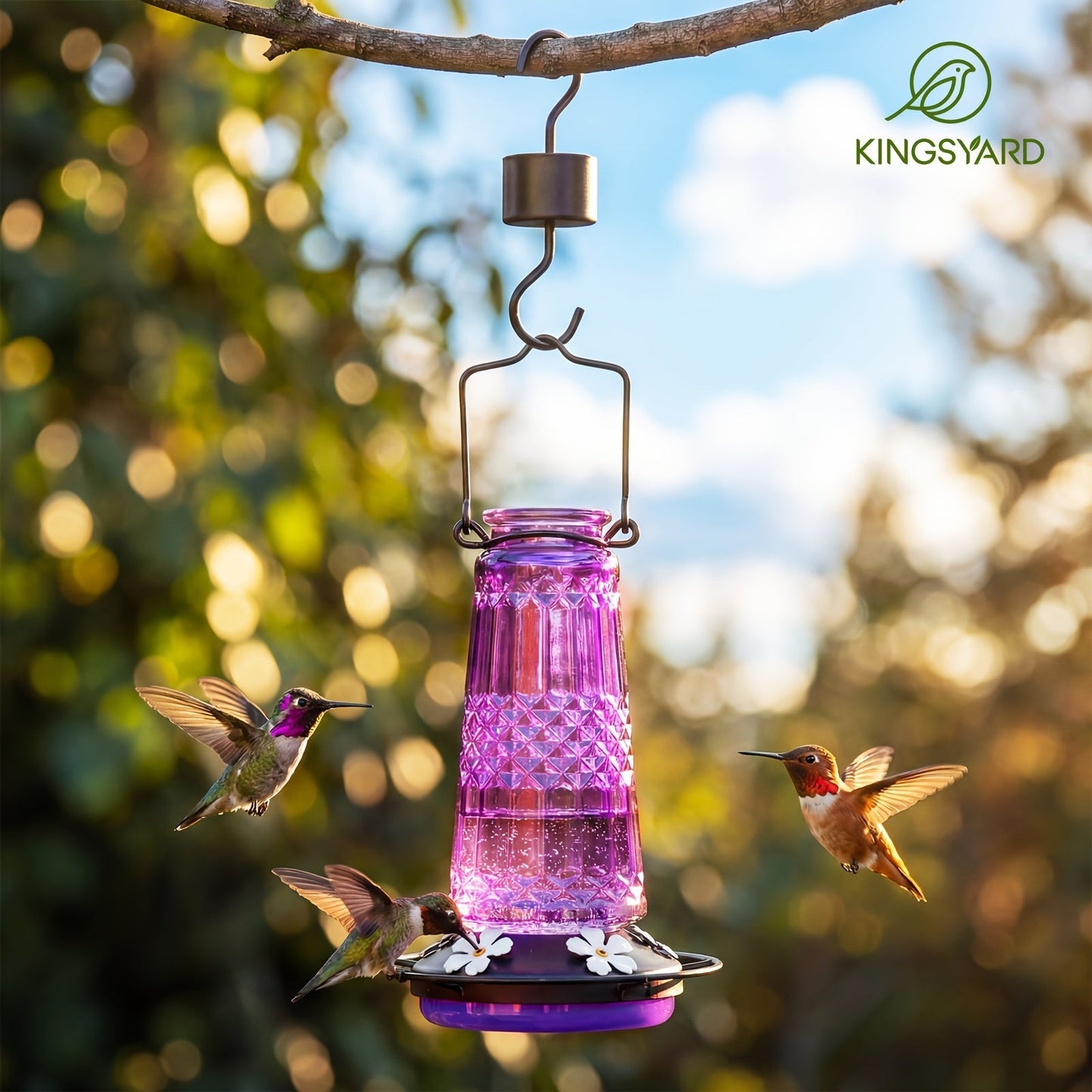 Glass Hummingbird Feeder for Outdoors Hanging – 24 Oz Nectar Feeder with 6 Feeding Ports, Ant Moat & Leak-Proof Design, 1 or 2 Pack, Red, Blue & Purple, Garden Patio Gift for Bird Lovers