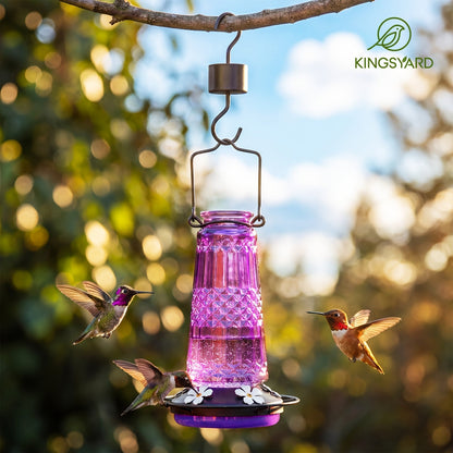 Glass Hummingbird Feeder for Outdoors Hanging – 24 Oz Nectar Feeder with 6 Feeding Ports, Ant Moat & Leak-Proof Design, 1 or 2 Pack, Red, Blue & Purple, Garden Patio Gift for Bird Lovers