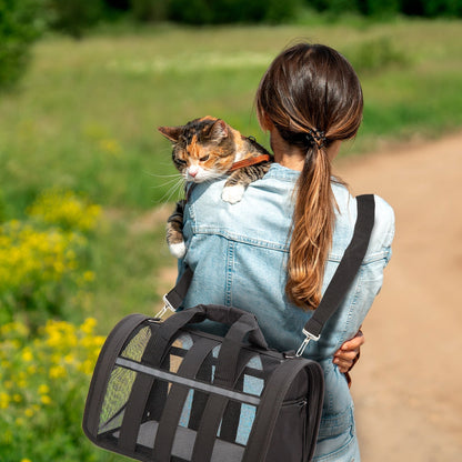 Foldable Soft Pet Carrier Bag – Breathable Mesh Travel Bag for Cats & Dogs, 6 Colors, S/M/L Sizes, Portable with Zipper Closure