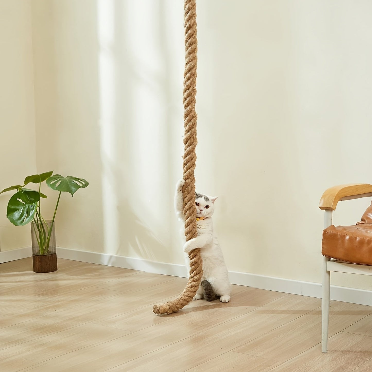 Wall-Mounted Cat Tree with 60" Jute Climbing Rope – Space-Saving Cat Wall Furniture with Scratching Post, Large Ladder & Resting Platform, Indoor Cat Climbing Activity Set for Exercise & Play