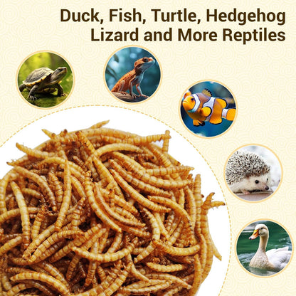 Dried Mealworms for Chickens Wild Birds Ducks – High Protein Natural Pet Food for Hens, Turtles, Fish, Lizards & Hamsters, Non-GMO Dried Insect Animal Feed, Multiple Sizes 0.6–40 LBS