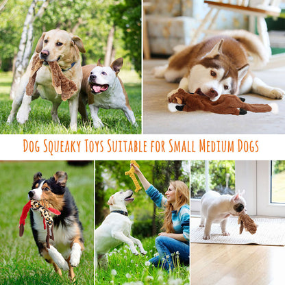 Dog Squeaky Toys No Stuffing 5 Pack – Durable Plush Chew Toy Bundle for Small Medium Large Breeds, Dual Squeaker Puppy Teething Toys, Interactive Fetch Toys for Dogs, Best Birthday Gift for Pets