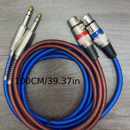 2-Pack 6.5mm TRS to XLR Female Balanced Audio Cable – Tinned Copper Core Mic Cord for Microphone Mixers, Recording Studios & Stage Lighting, Available in 3FT, 39-Inch & 78-Inch Lengths