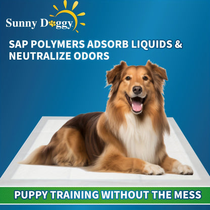 Disposable Dog Pee Pads Large – Upgraded Odor Control & Leak-Proof Puppy Training Pads, Super Absorbent Potty Pads for Housebreaking, 120 Count 22"x22" / 50 Count 30"x36" / 40 Count 36"x36"
