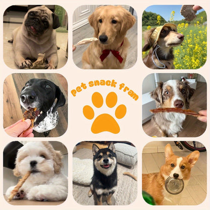 Chicken Jerky Dog Treats - Real Dried Chicken for Dogs, High Protein & Easy to Digest, Healthy Long-Lasting Training Reward Snack for Small, Medium & Large Breed Puppies and Adult Dogs