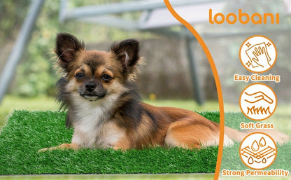 Artificial Grass Dog Potty Pad – Reusable Pee Pad for Dogs Indoor & Outdoor Potty Training, Soft Drainage Turf Mat for Puppies, Small & Large Dogs, Multiple Sizes Available
