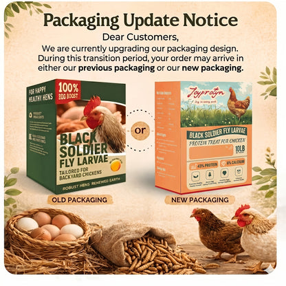 Dried Black Soldier Fly Larvae for Chickens – High Protein 43% & 85x More Calcium Than Mealworms, Non-GMO Natural BSFL Treats for Laying Hens, Ducks, Quail, Birds & Reptiles, 2LB / 5LB / 10LB