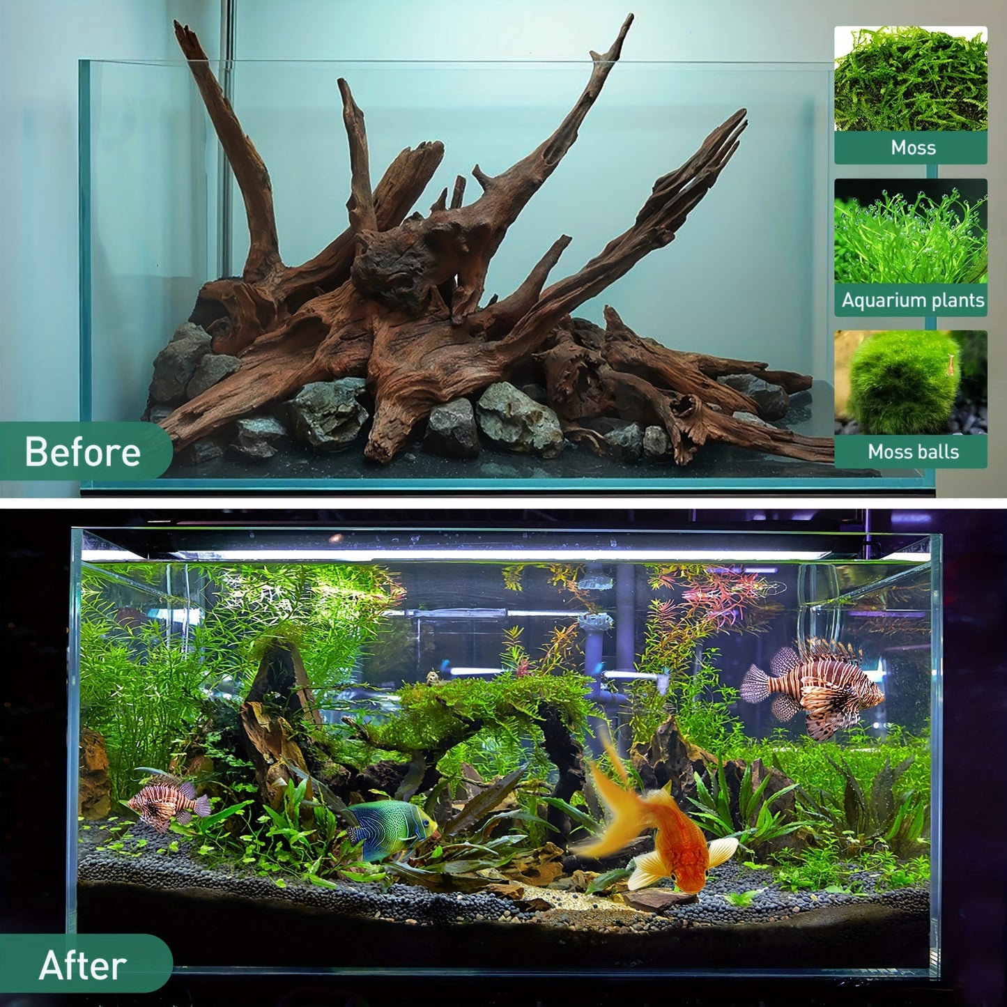Natural Sinking Driftwood for Aquarium Decor – 3pcs Large Real Wood Fish Tank Decoration for Freshwater, Reptile & Terrarium, Fish-Safe Purple Teak Driftwood Set