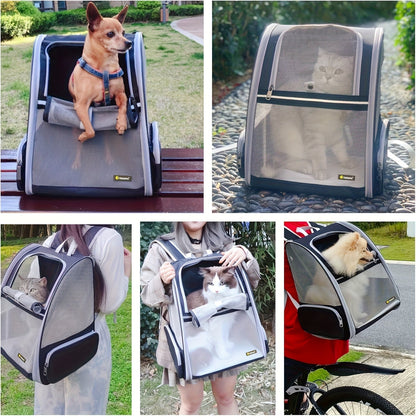 Foldable Ventilated Pet Carrier Backpack for Cats & Dogs – PVC Mesh Airflow, Chest Harness, Removable Mat, Fits Cats up to 18 lbs & Dogs up to 15 lbs, for Travel, Hiking, Flights & Car Rides