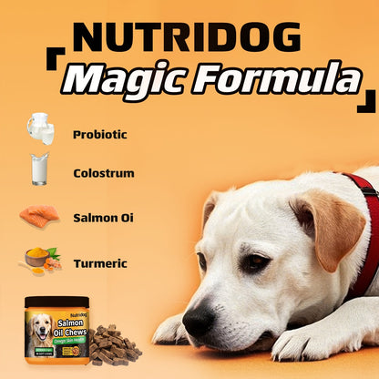 Dog Nutritional Supplement Soft Chews 90 Count with Probiotics Salmon Oil Chicken Flavor - Supports Coat Gut Health Immunity for Dogs All Ages 225g