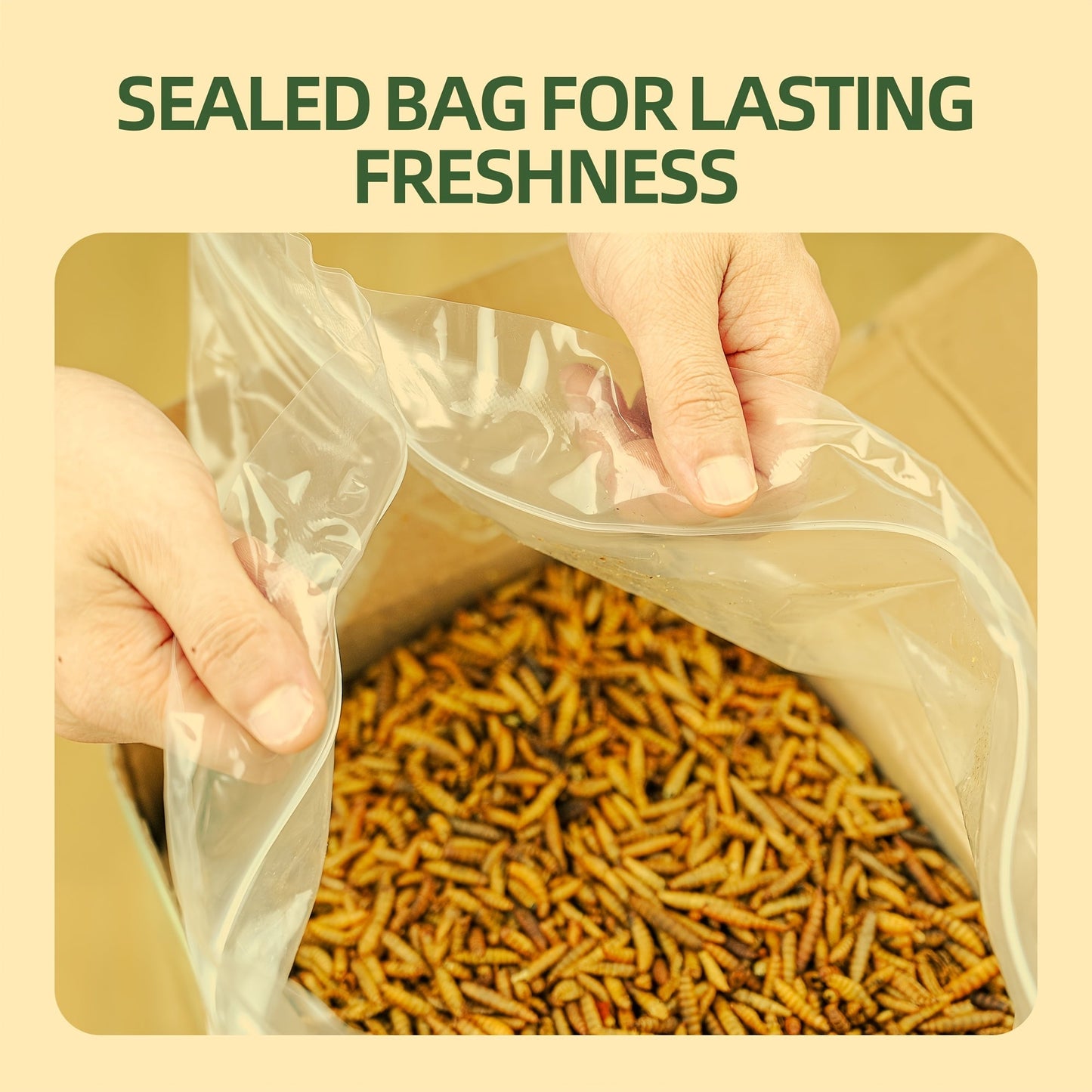 Dried Black Soldier Fly Larvae for Chickens – High Protein 43% & 85x More Calcium Than Mealworms, Non-GMO Natural BSFL Treats for Laying Hens, Ducks, Quail, Birds & Reptiles, 2LB / 5LB / 10LB