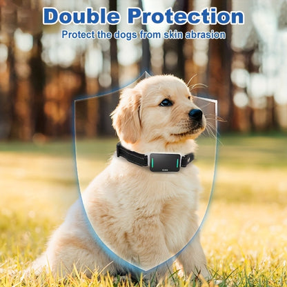 Dog Training Collar with Remote – Rechargeable E-Collar with Shock Vibration Buzz Modes, 2.4G Wireless Remote, USB Charging, Safe & Effective Pet Trainer for Small Medium Large Dogs, 1pc & 2pc