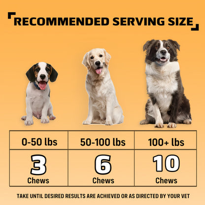 Dog Nutritional Supplement Soft Chews 90 Count with Probiotics Salmon Oil Chicken Flavor - Supports Coat Gut Health Immunity for Dogs All Ages 225g