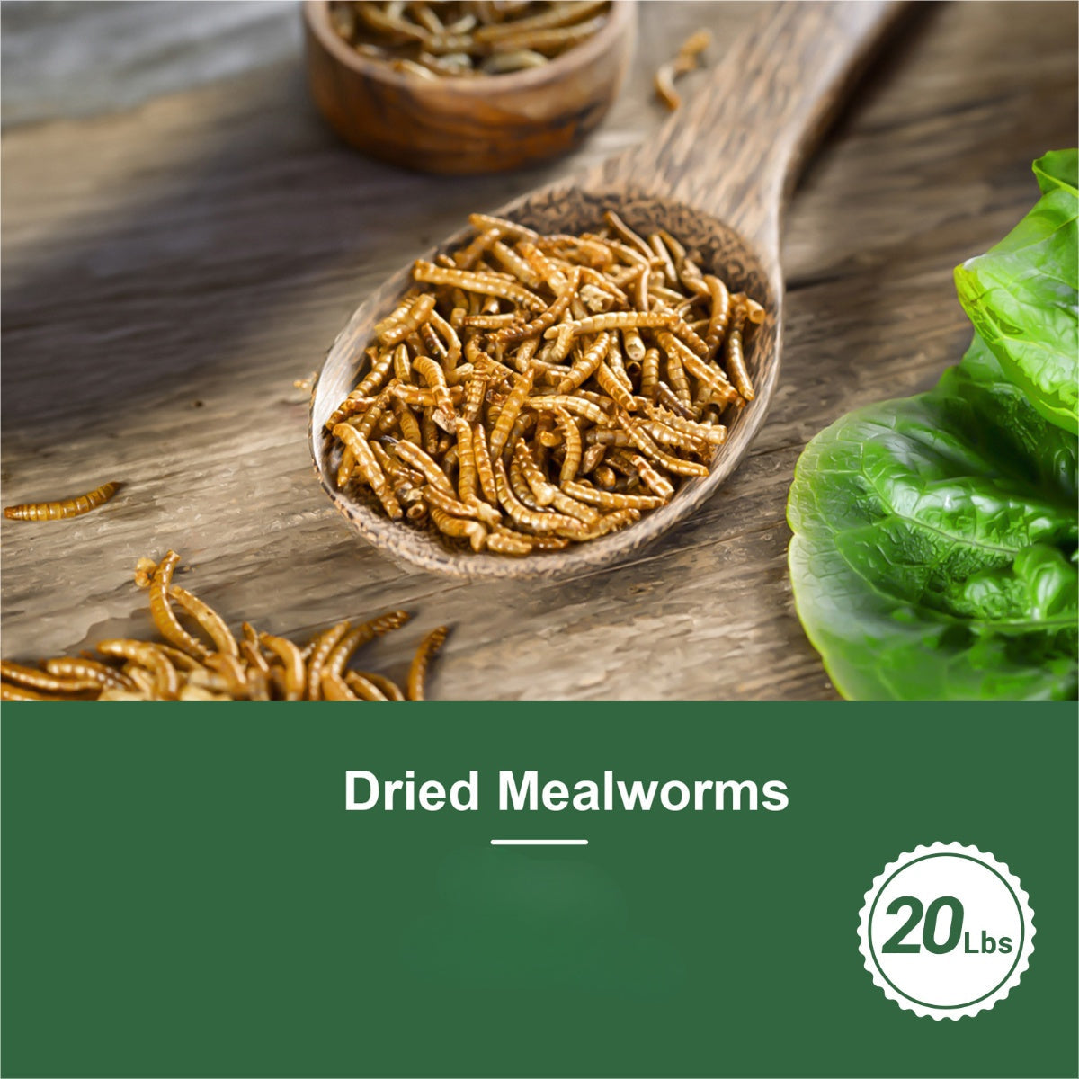 Dried Mealworms for Chickens Wild Birds Ducks – High Protein Natural Pet Food for Hens, Turtles, Fish, Lizards & Hamsters, Non-GMO Dried Insect Animal Feed, Multiple Sizes 0.6–40 LBS