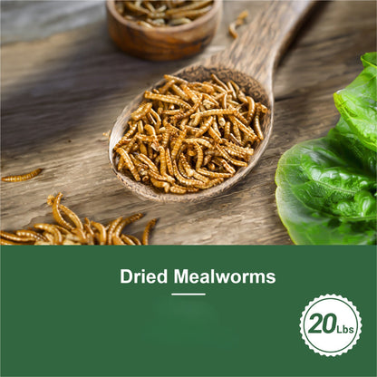 Dried Mealworms for Chickens Wild Birds Ducks – High Protein Natural Pet Food for Hens, Turtles, Fish, Lizards & Hamsters, Non-GMO Dried Insect Animal Feed, Multiple Sizes 0.6–40 LBS