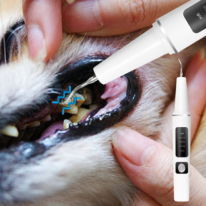 Electric Pet Teeth Cleaning Kit for Cats and Dogs USB Rechargeable Tartar Stain Remover with 4 Cleaning Heads 5 Modes - Dog Cat Dental Care Tool