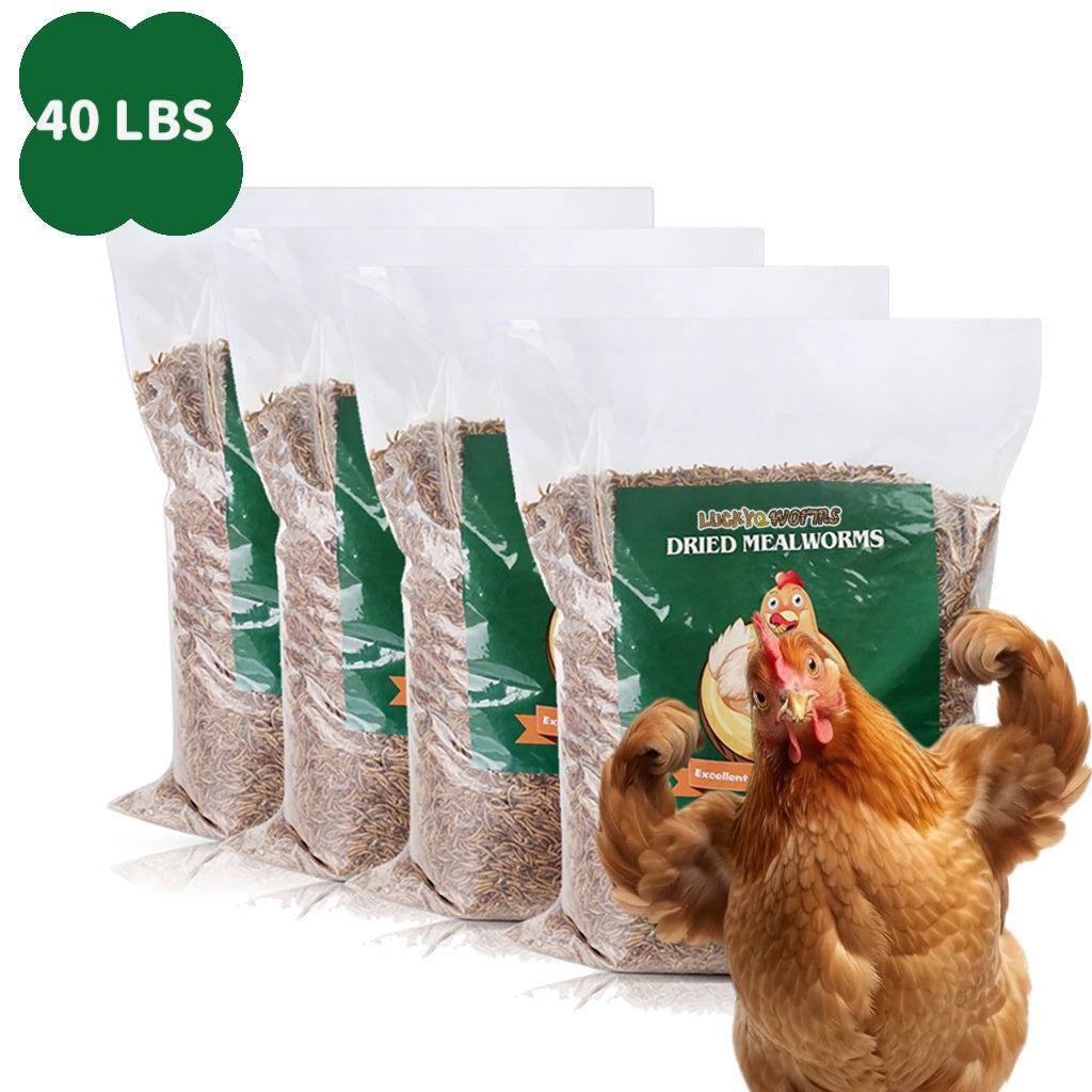 Dried Mealworms for Chickens Wild Birds Ducks – High Protein Natural Pet Food for Hens, Turtles, Fish, Lizards & Hamsters, Non-GMO Dried Insect Animal Feed, Multiple Sizes 0.6–40 LBS