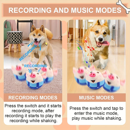 USB Rechargeable Bouncing Dog Toy – Motion Sensor Electronic Ball with Pig Sound & Voice Recording, Washable Interactive Fetch Toy for Small Dogs & Puppies