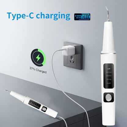 Electric Pet Teeth Cleaning Kit for Cats and Dogs USB Rechargeable Tartar Stain Remover with 4 Cleaning Heads 5 Modes - Dog Cat Dental Care Tool