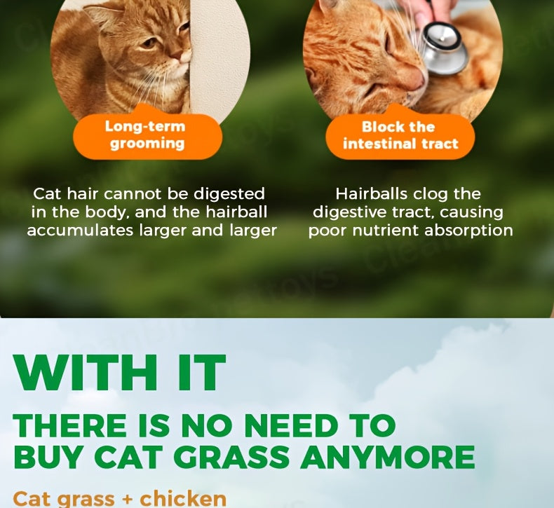Freeze-Dried Cat Grass Hairball Control Tablets – Natural Mint Molar Sticks & Granules, Chicken Flavor Cat Snacks for Dental Health & Hair Removal