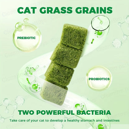 Freeze-Dried Cat Grass Hairball Control Tablets – Natural Mint Molar Sticks & Granules, Chicken Flavor Cat Snacks for Dental Health & Hair Removal