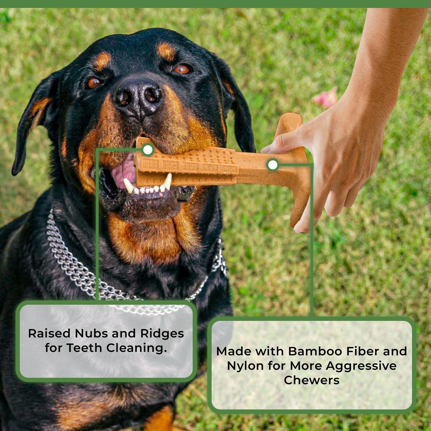T-Shaped Dog Dental Chew Toy – Durable Non-Splintering Plastic Chew Toy with Textured Ridges & Ergonomic Grip for Aggressive Chewers, Teething Puppies & Adult Dogs, Teeth Cleaning Dog Toy