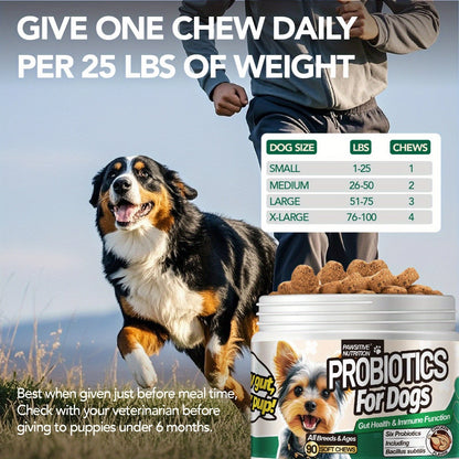 Dog Digestive Health Probiotic Soft Chews 90 Count Chicken Flavor - Supports Gut Health All Breeds Sizes Daily Supplement 1 Bottle or 3 Bottle Pack