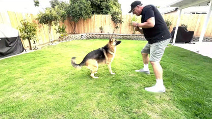 Indestructible Dog Chew Toys for Aggressive Chewers Large Breed Tough Nylon Dog Teething Toy Durable Sturdy Boredom Relief Interactive Chew Toy Keeps Dogs Busy Red 1pc 2pcs 4pcs