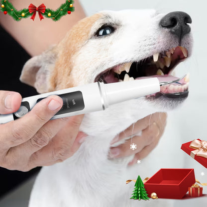 Electric Pet Teeth Cleaning Kit for Cats and Dogs USB Rechargeable Tartar Stain Remover with 4 Cleaning Heads 5 Modes - Dog Cat Dental Care Tool