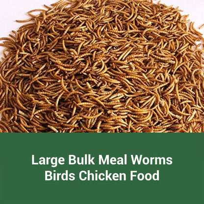 Dried Mealworms for Chickens Wild Birds Ducks – High Protein Natural Pet Food for Hens, Turtles, Fish, Lizards & Hamsters, Non-GMO Dried Insect Animal Feed, Multiple Sizes 0.6–40 LBS