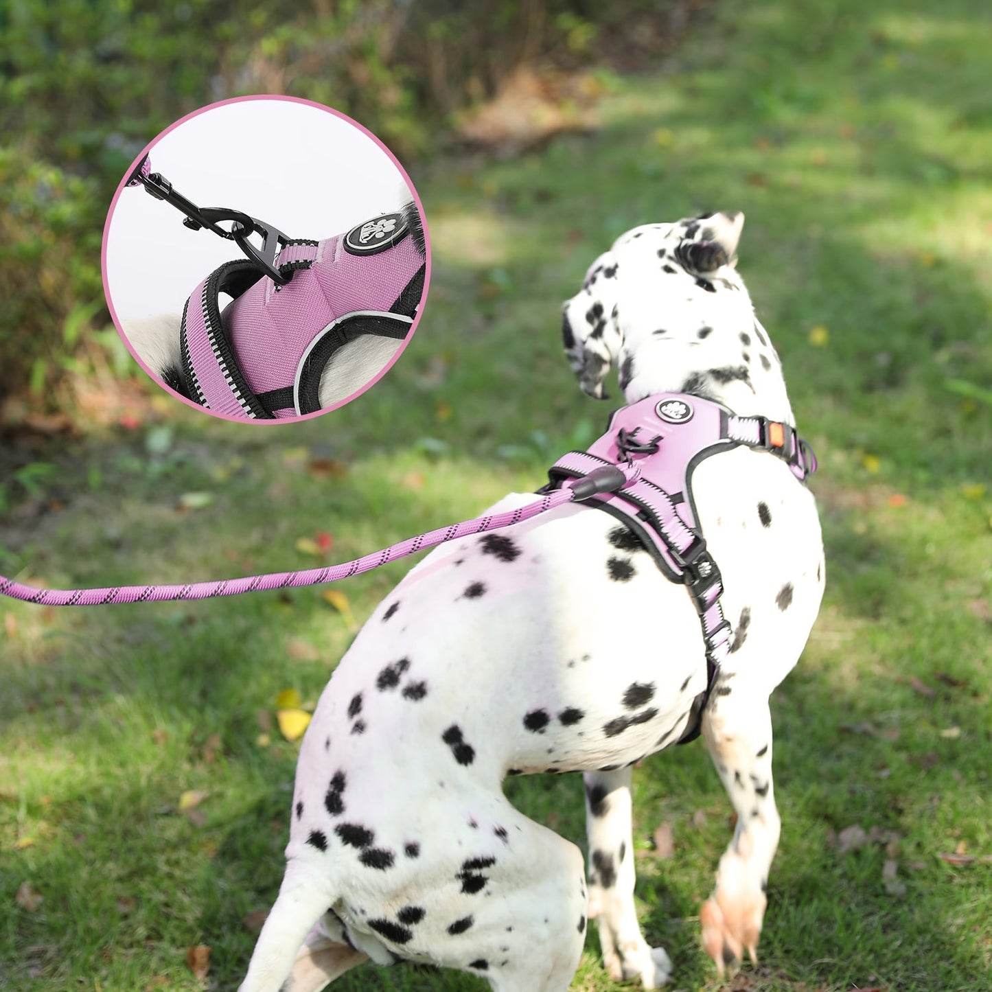 No Pull Dog Harness Set with Leash Retractable Seatbelt & Collar – Fully Reflective Adjustable Breathable Vest Harness with Handle for Small & Large Dogs XS–XL