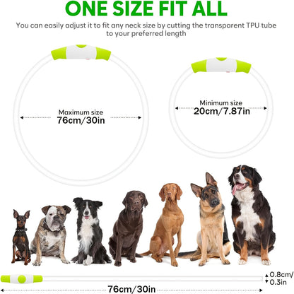 USB Rechargeable LED Dog Collar – Light Up 360° Glow Safety Collar with 3 Modes, Adjustable TPU Cuttable Collar for Small Medium Large Dogs, Night Walking Running & Hunting