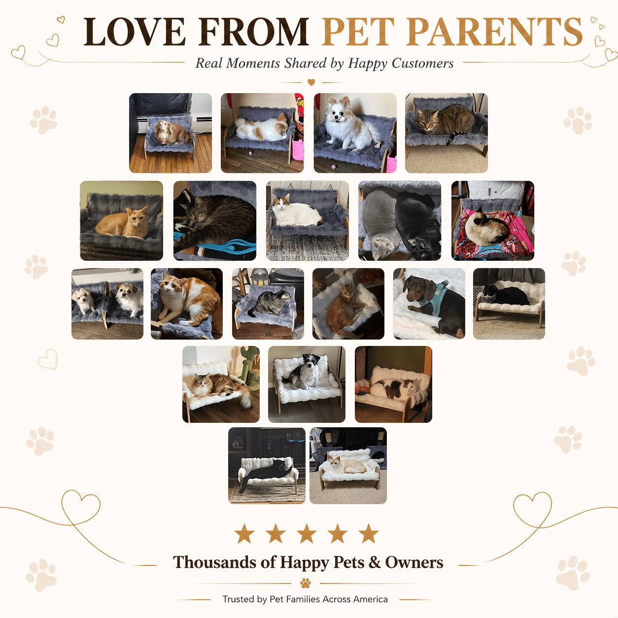 Elevated Pet Sofa Bed Solid Wood Dog Cat Lounge Chair with Bamboo Mat Modern Pet Furniture for Small Medium Dogs Cats Sturdy Stylish Gray White